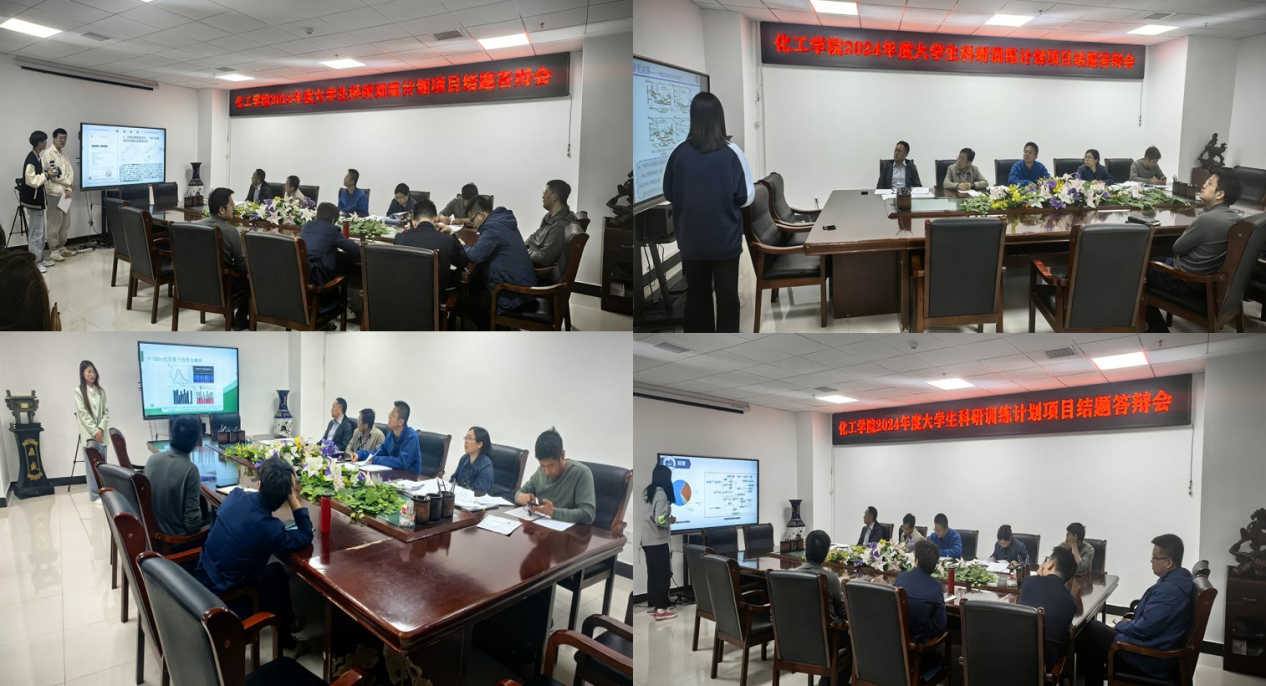 成人影视片
组织召开2024年度大学生科研训练计划（SRT）项目结题答辩会
